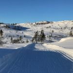 Langrenn på Gautefall Gautefalltomter Gautefall Skisenter