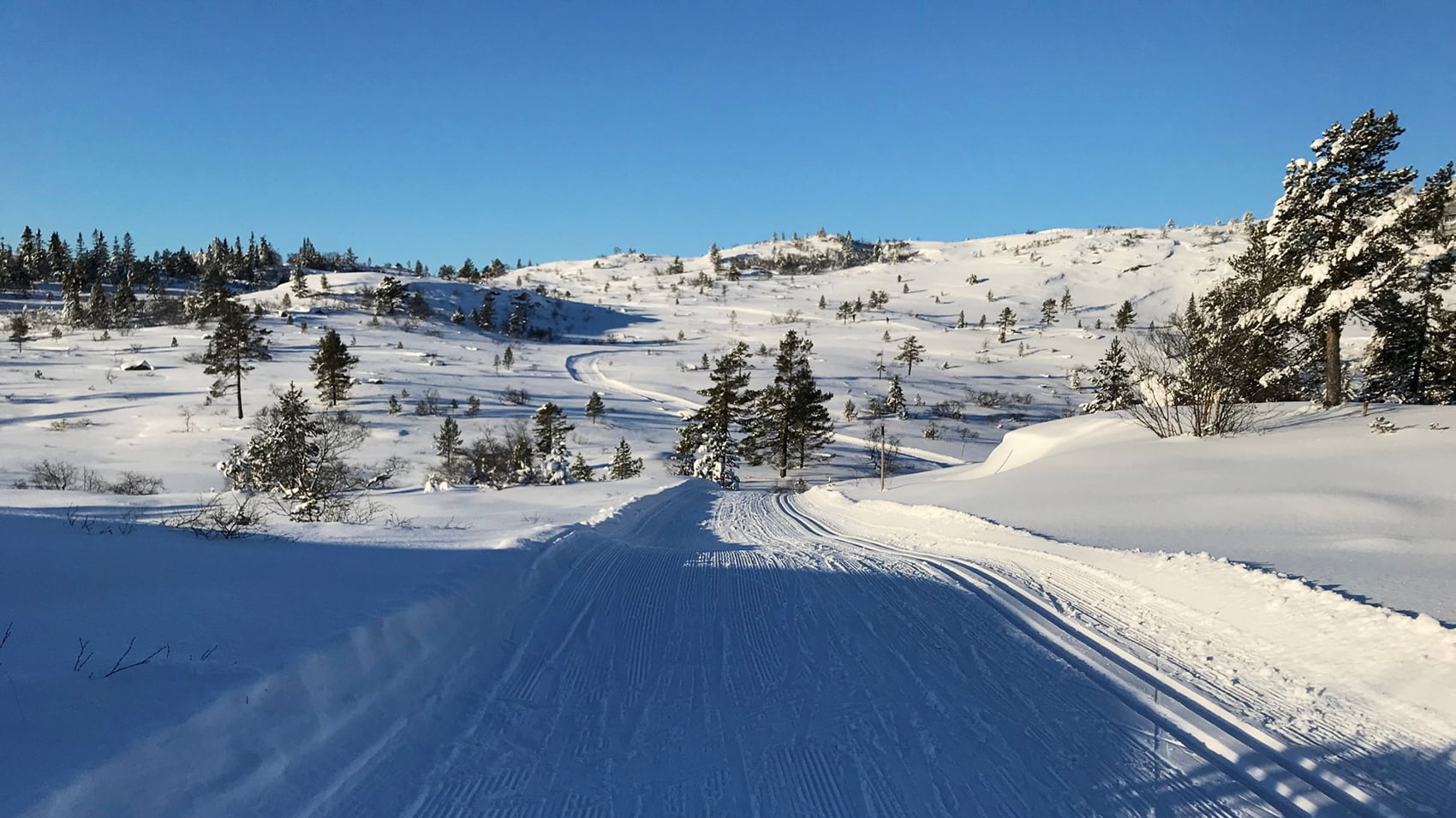 Gautefalltomter langrennsløype